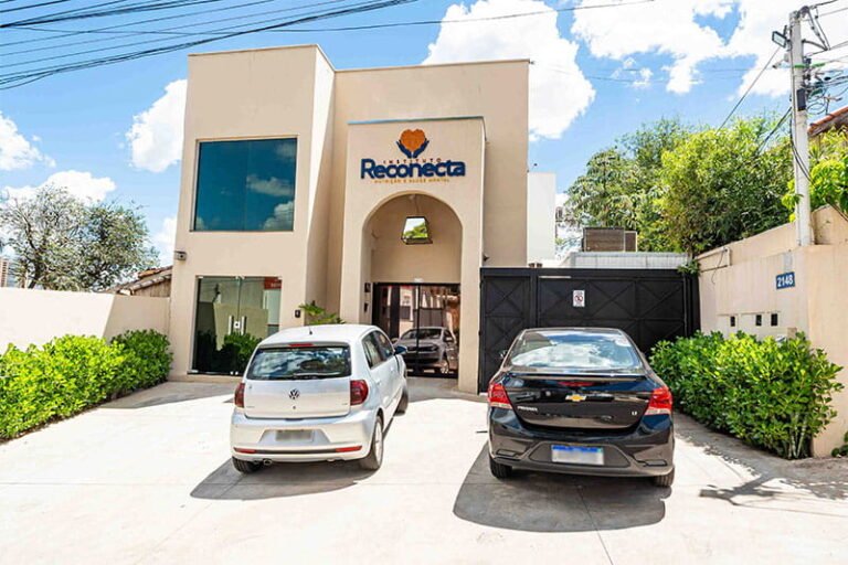 instituto reconecta - presidente prudente